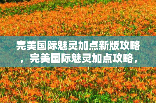 完美国际魅灵加点新版攻略，完美国际魅灵加点攻略，打造高效战斗力的关键