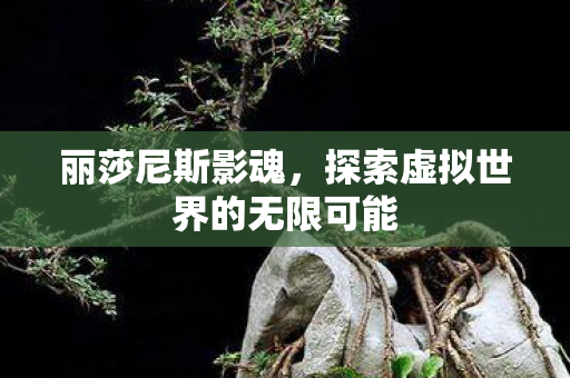 丽莎尼斯影魂，探索虚拟世界的无限可能