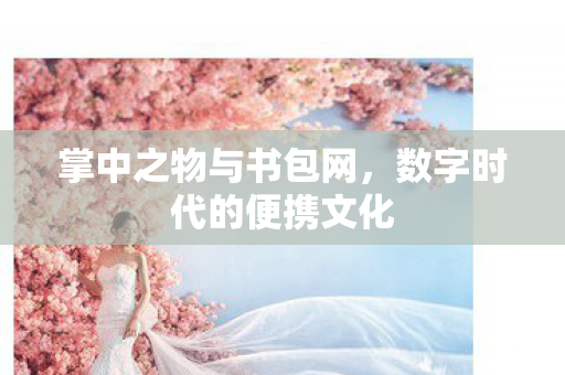 掌中之物与书包网，数字时代的便携文化