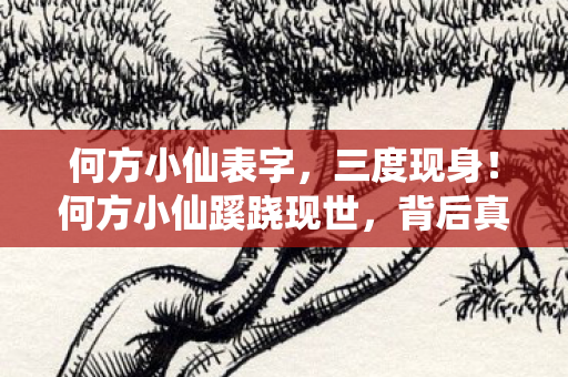 何方小仙表字,三度现身!何方小仙蹊跷现世,背后真相让人后背发凉 何方小仙表字,三度现身!何方小仙蹊跷现世,背后真相让人后背发凉