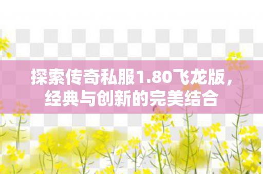 探索传奇私服1.80飞龙版，经典与创新的完美结合