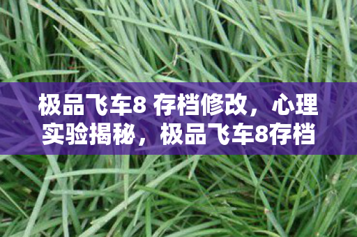 极品飞车8 存档修改,心理实验揭秘,极品飞车8存档如何让你沉迷?细思极恐! 极品飞车8 存档修改,心理实验揭秘,极品飞车8存档如何让你沉迷?细思极恐!
