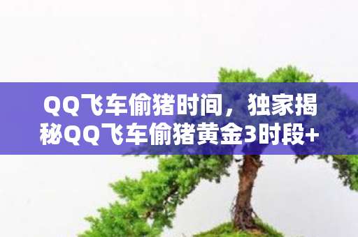QQ飞车偷猪时间，独家揭秘QQ飞车偷猪黄金3时段+避坑心得，错过再等一年！