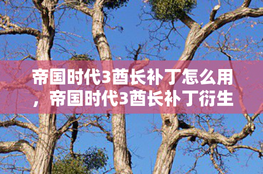 帝国时代3酋长补丁怎么用,帝国时代3酋长补丁衍生数破圈!手办堆成山竟藏意想不到的母爱彩蛋 帝国时代3酋长补丁怎么用,帝国时代3酋长补丁衍生数破圈!手办堆成山竟藏意想不到的母爱彩蛋