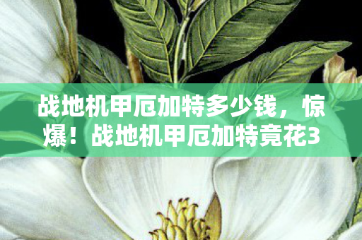 战地机甲厄加特多少钱,惊爆!战地机甲厄加特竟花3000万做废?背后隐情让人吓一跳! 战地机甲厄加特多少钱,惊爆!战地机甲厄加特竟花3000万做废?背后隐情让人吓一跳!