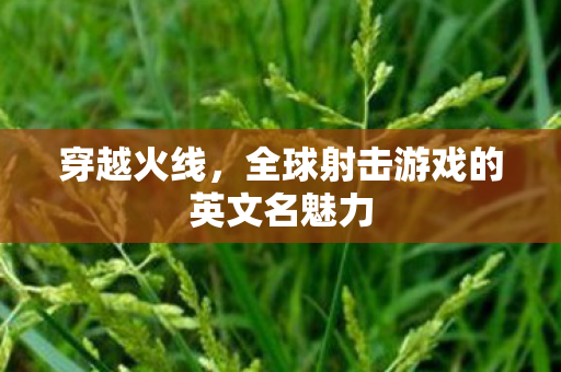 穿越火线，全球射击游戏的英文名魅力