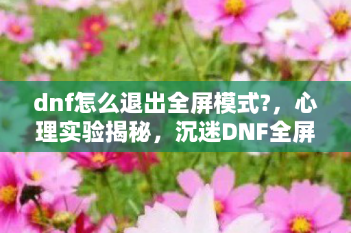 dnf怎么退出全屏模式?,心理实验揭秘,沉迷DNF全屏的细思极恐真相 dnf怎么退出全屏模式?,心理实验揭秘,沉迷DNF全屏的细思极恐真相