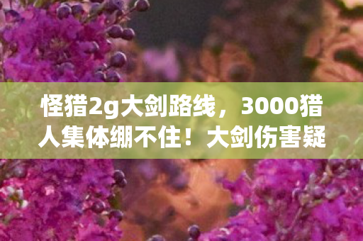 怪猎2g大剑路线，3000猎人集体绷不住！大剑伤害疑云，这数据是BUG还是官方恶作剧？