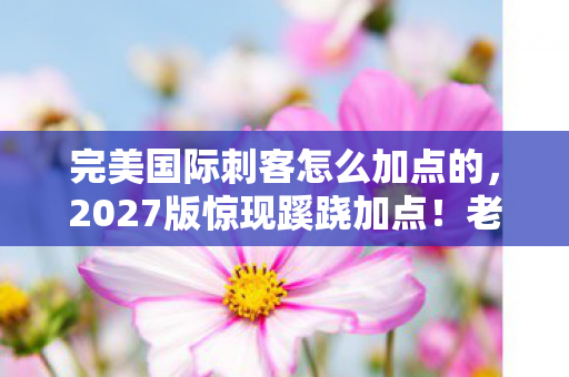 完美国际刺客怎么加点的,2027版惊现蹊跷加点!老玩家直呼这操作绝了 完美国际刺客怎么加点的,2027版惊现蹊跷加点!老玩家直呼这操作绝了