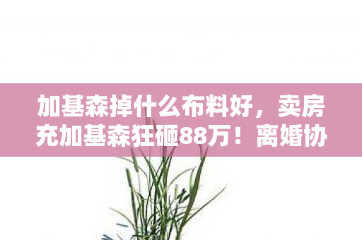 加基森掉什么布料好，卖房充加基森狂砸88万！离婚协议藏惊天隐情，吓到腿软！