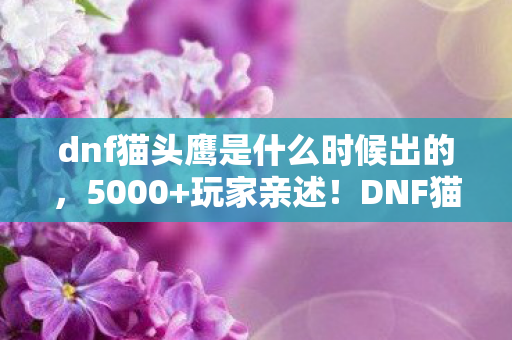 dnf猫头鹰是什么时候出的，5000+玩家亲述！DNF猫头鹰疑云，这操作真绷不住了！