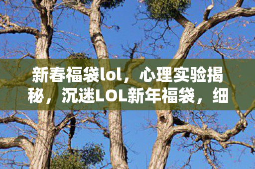新春福袋lol，心理实验揭秘，沉迷LOL新年福袋，细思极恐的自我囚禁