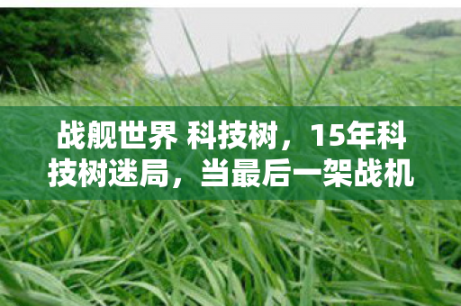 战舰世界 科技树,15年科技树迷局,当最后一架战机坠毁在2035年代码坟场 战舰世界 科技树,15年科技树迷局,当最后一架战机坠毁在2035年代码坟场