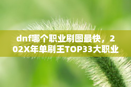 dnf哪个职业刷图最快,202X年单刷王TOP33大职业心得+避坑指南,选错职业哭一年! dnf哪个职业刷图最快,202X年单刷王TOP33大职业心得+避坑指南,选错职业哭一年!
