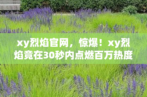 xy烈焰官网,惊爆!xy烈焰竟在30秒内点燃百万热度,背后真相让人窒息! xy烈焰官网,惊爆!xy烈焰竟在30秒内点燃百万热度,背后真相让人窒息!