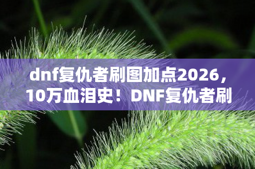 dnf复仇者刷图加点2026,10万血泪史!DNF复仇者刷图加点暗藏砍费隐情,吓一跳的真相! dnf复仇者刷图加点2026,10万血泪史!DNF复仇者刷图加点暗藏砍费隐情,吓一跳的真相!