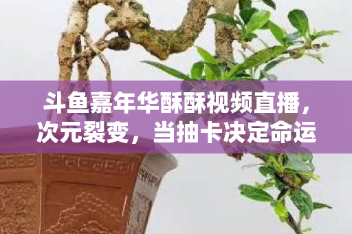 斗鱼嘉年华酥酥视频直播,次元裂变,当抽卡决定命运时,自由意志竟是系统BUG? 斗鱼嘉年华酥酥视频直播,次元裂变,当抽卡决定命运时,自由意志竟是系统BUG?