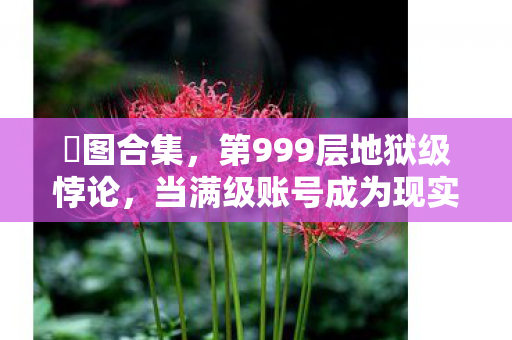 囧图合集,第999层地狱级悖论,当满级账号成为现实人生的终极嘲讽 囧图合集,第999层地狱级悖论,当满级账号成为现实人生的终极嘲讽