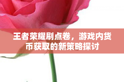 王者荣耀刷点卷，游戏内货币获取的新策略探讨