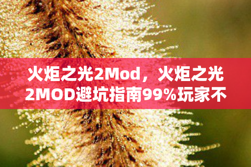 火炬之光2Mod,火炬之光2MOD避坑指南99%玩家不知道的3大猫腻!改到上头却想摔键盘? 火炬之光2Mod,火炬之光2MOD避坑指南99%玩家不知道的3大猫腻!改到上头却想摔键盘?