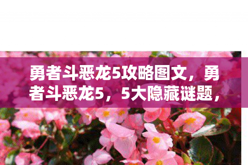 勇者斗恶龙5攻略图文,勇者斗恶龙5,5大隐藏谜题,揭开尘封20年的终极真相? 勇者斗恶龙5攻略图文,勇者斗恶龙5,5大隐藏谜题,揭开尘封20年的终极真相?