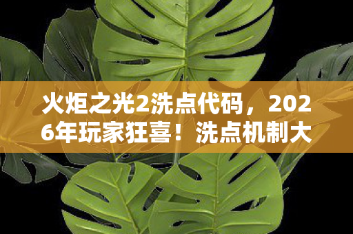 火炬之光2洗点代码,2026年玩家狂喜!洗点机制大改背后竟藏着惊天秘密? 火炬之光2洗点代码,2026年玩家狂喜!洗点机制大改背后竟藏着惊天秘密?