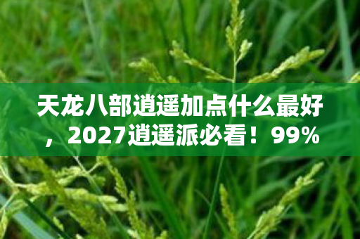 天龙八部逍遥加点什么最好,2027逍遥派必看!99%玩家忽略的3大加点陷阱,错过直接掉队! 天龙八部逍遥加点什么最好,2027逍遥派必看!99%玩家忽略的3大加点陷阱,错过直接掉队!