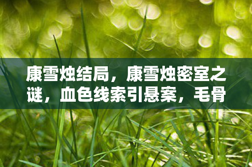 康雪烛结局,康雪烛密室之谜,血色线索引悬案,毛骨悚然十年未解 康雪烛结局,康雪烛密室之谜,血色线索引悬案,毛骨悚然十年未解