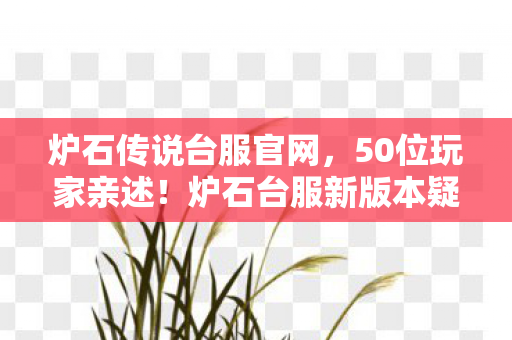炉石传说台服官网，50位玩家亲述！炉石台服新版本疑云，这操作谁绷得住啊？