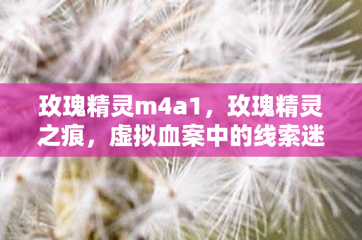 玫瑰精灵m4a1,玫瑰精灵之痕,虚拟血案中的线索迷局与毛骨悚然悬案 玫瑰精灵m4a1,玫瑰精灵之痕,虚拟血案中的线索迷局与毛骨悚然悬案