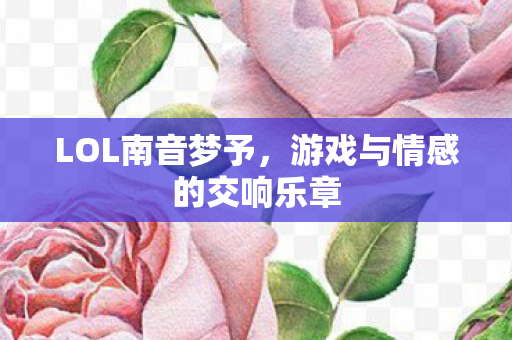 LOL南音梦予，游戏与情感的交响乐章