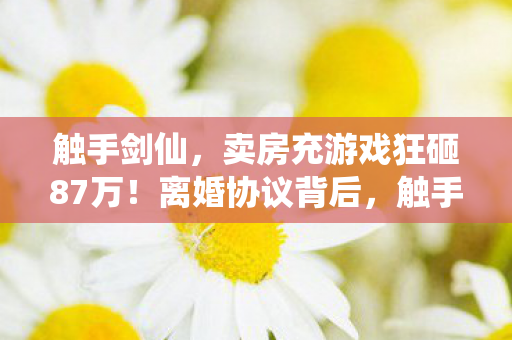 触手剑仙,卖房充游戏狂砸87万!离婚协议背后,触手剑竟成婚姻断头台! 触手剑仙,卖房充游戏狂砸87万!离婚协议背后,触手剑竟成婚姻断头台!