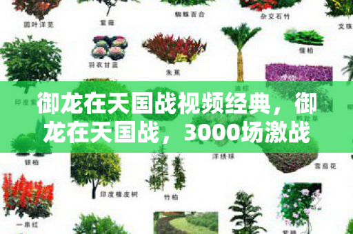 御龙在天国战视频经典，御龙在天国战，3000场激战背后，藏着多少不为人知的秘密？