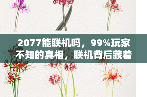 2077能联机吗，99%玩家不知的真相，联机背后藏着多少孤独的赛博灵魂？
