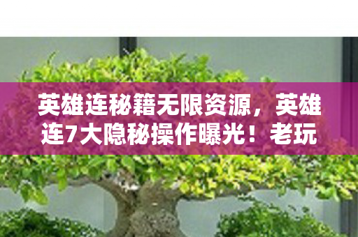 英雄连秘籍无限资源,英雄连7大隐秘操作曝光!老玩家藏了10年的真相竟是…… 英雄连秘籍无限资源,英雄连7大隐秘操作曝光!老玩家藏了10年的真相竟是……