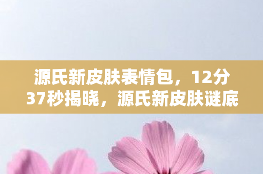 源氏新皮肤表情包，12分37秒揭晓，源氏新皮肤谜底竟是永别之刃，玩家集体泪目