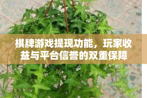 棋牌游戏提现功能，玩家收益与平台信誉的双重保障