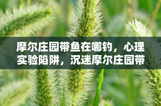摩尔庄园带鱼在哪钓,心理实验陷阱,沉迷摩尔庄园带鱼,细思极恐的自我囚禁 摩尔庄园带鱼在哪钓,心理实验陷阱,沉迷摩尔庄园带鱼,细思极恐的自我囚禁