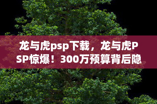 龙与虎psp下载,龙与虎PSP惊爆!300万预算背后隐情,结果一出吓你一跳! 龙与虎psp下载,龙与虎PSP惊爆!300万预算背后隐情,结果一出吓你一跳!