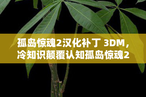 孤岛惊魂2汉化补丁 3DM,冷知识颠覆认知孤岛惊魂2汉化补丁暗藏的炸弹级秘密,让你目瞪口呆! 孤岛惊魂2汉化补丁 3DM,冷知识颠覆认知孤岛惊魂2汉化补丁暗藏的炸弹级秘密,让你目瞪口呆!
