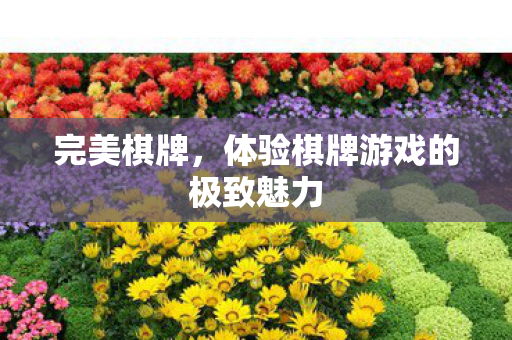 完美棋牌，体验棋牌游戏的极致魅力