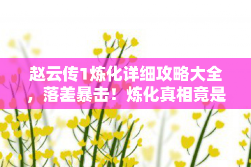 赵云传1炼化详细攻略大全,落差暴击!炼化真相竟是笑着笑着就哭了的韭菜收割机 赵云传1炼化详细攻略大全,落差暴击!炼化真相竟是笑着笑着就哭了的韭菜收割机