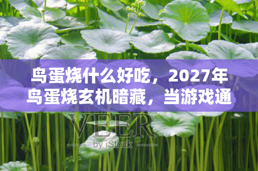 鸟蛋烧什么好吃,2027年鸟蛋烧玄机暗藏,当游戏通关后,我为何陷入长久沉默? 鸟蛋烧什么好吃,2027年鸟蛋烧玄机暗藏,当游戏通关后,我为何陷入长久沉默?