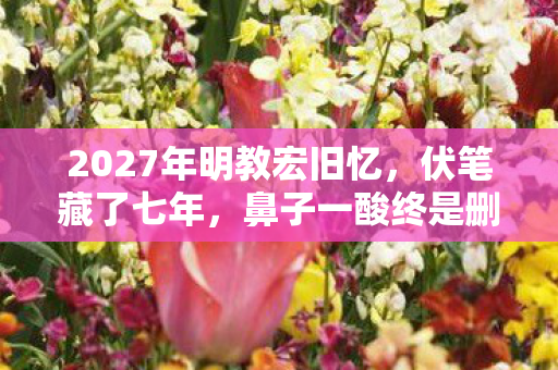 2027年明教宏旧忆,伏笔藏了七年,鼻子一酸终是删号 2027年明教宏旧忆,伏笔藏了七年,鼻子一酸终是删号