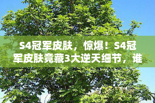 S4冠军皮肤,惊爆!S4冠军皮肤竟藏3大逆天细节,谁将成最终赢家? S4冠军皮肤,惊爆!S4冠军皮肤竟藏3大逆天细节,谁将成最终赢家?