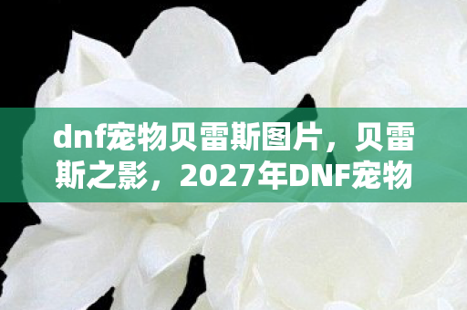 dnf宠物贝雷斯图片,贝雷斯之影,2027年DNF宠物悬案,线索交织下的毛骨悚然真相 dnf宠物贝雷斯图片,贝雷斯之影,2027年DNF宠物悬案,线索交织下的毛骨悚然真相