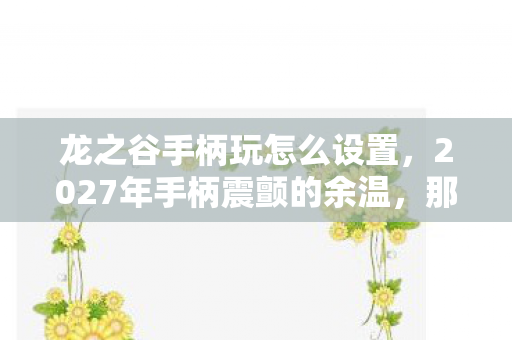 龙之谷手柄玩怎么设置，2027年手柄震颤的余温，那些别走的夜，最后都成了鼻尖的酸