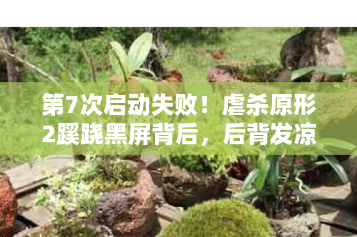 第7次启动失败!虐杀原形2蹊跷黑屏背后,后背发凉的真相 第7次启动失败!虐杀原形2蹊跷黑屏背后,后背发凉的真相