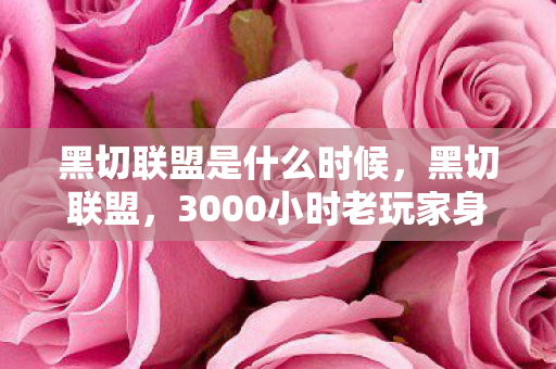 黑切联盟是什么时候,黑切联盟,3000小时老玩家身份成谜,这把黑切为何让全网心酸? 黑切联盟是什么时候,黑切联盟,3000小时老玩家身份成谜,这把黑切为何让全网心酸?