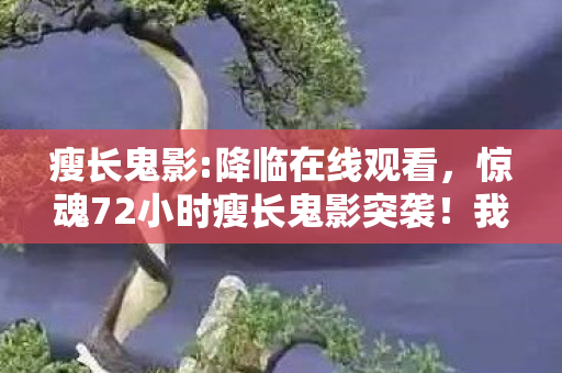 瘦长鬼影:降临在线观看,惊魂72小时瘦长鬼影突袭!我的真实灵异体验全记录 瘦长鬼影:降临在线观看,惊魂72小时瘦长鬼影突袭!我的真实灵异体验全记录